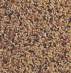 Delinature34   voliere 1