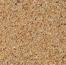 Delinature40   tropische vogels basis2 0