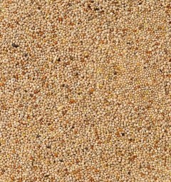 Delinature51   parkiet basis 1