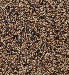 Delinature58   sijsjes en distelvinken supreme 0