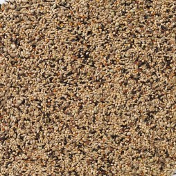 Delinature70   neophema premium 2