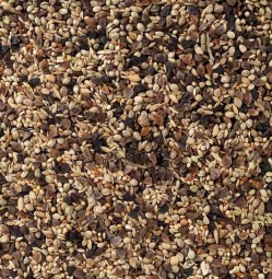 Delinature71   agapornis premium 1