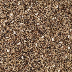 Delinature83   europese vogels zonder raapzaad 1