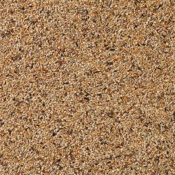 Delinature84   apv gould2 0