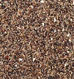 Delinature96   goudvinken 1