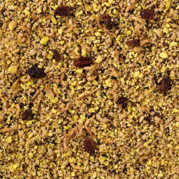 Dn eivoer grote parkiet 1