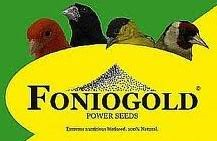 Foniogold 1