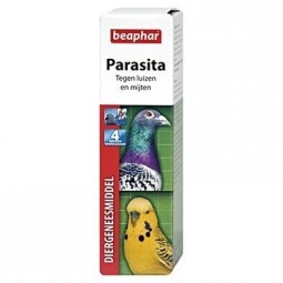 Parasita