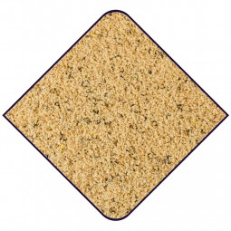 Wm blank 1