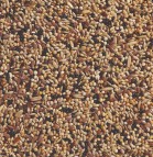 Delinature34   voliere 0