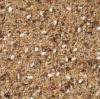 Delinature68   grote parkiet zonder zonnepitten 1