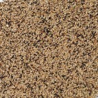 Delinature70   neophema premium 1