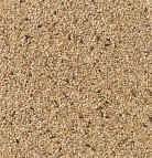 Delinature85   parkiet champion 0