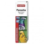 Parasita