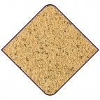 Wm blank
